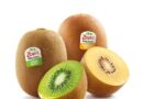 Kiwi Zespri: frutto piccolo ma potente.