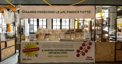 miele biologico